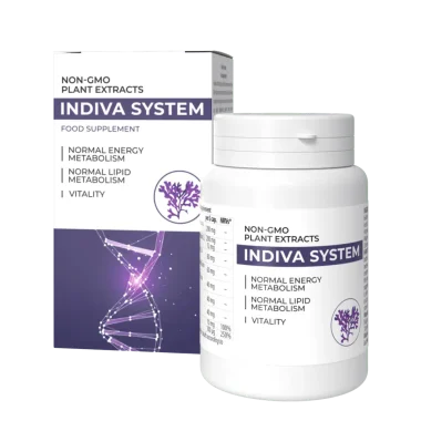 InDiva System
